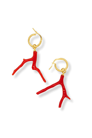 Bamboo Coral Earrings - Amanda Marcucci 